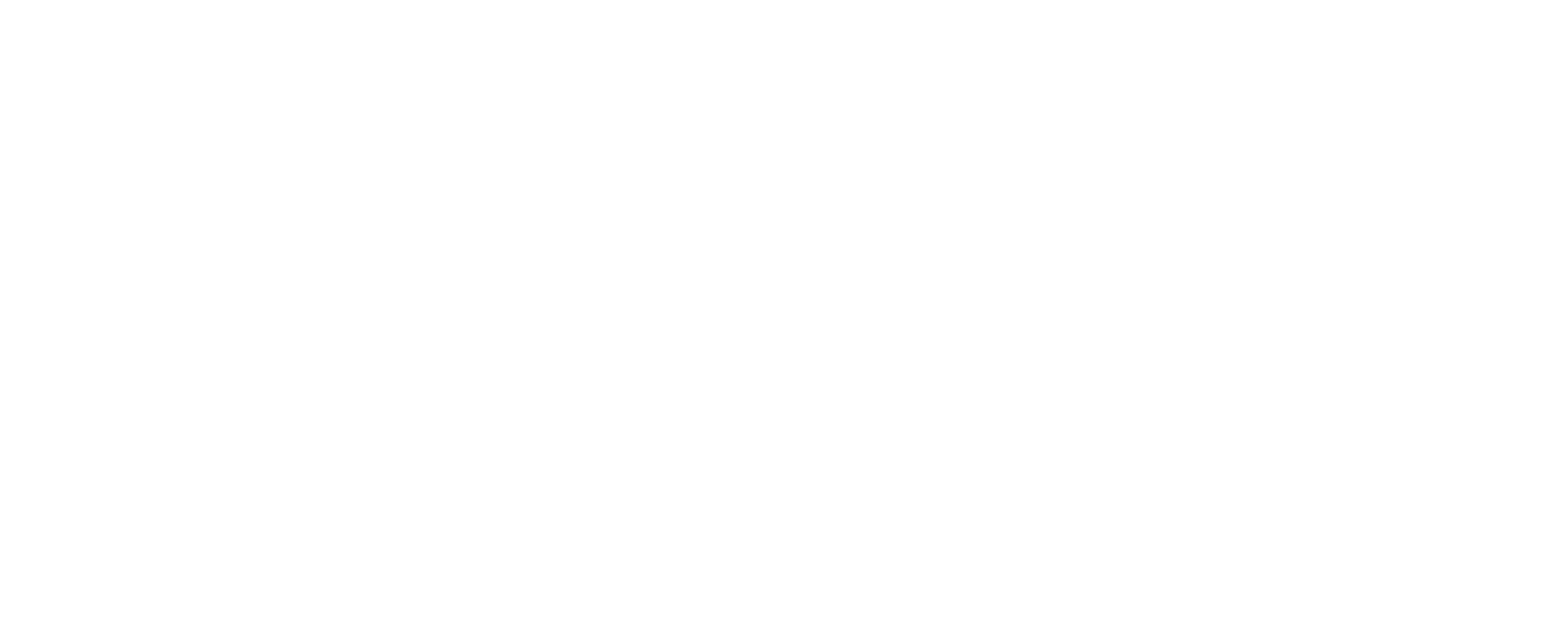 Logo of csnn alumni featuring a stylized leaf and text.